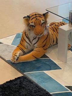 Greenview Poolvila Hua Hin - 5