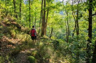 La Ferme du Cayla - 2