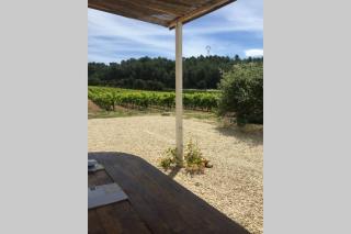 Cabanon de charme en plein coeur des vignes - 1