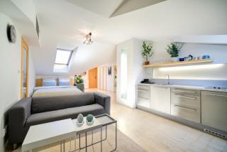 Residence Caesar by Homester - Brno - 1