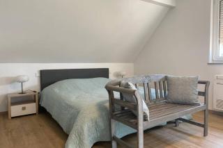 Gite "Le Platane" 45 m2 - climatisé - Monswiller - 9