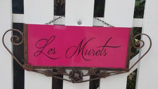 les murets - Saint-Aignan - 9