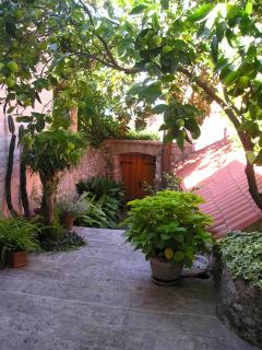 Villa Magnolia - Cavtat - 0