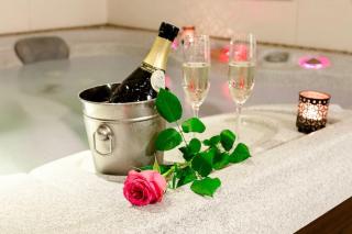 Villa Aina Boutique Hotel - Laško - 1