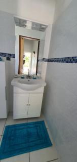 Les cottages de roseau - Capesterre-Belle-Eau - 6