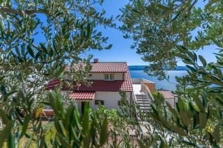 Apartments Dragana - 0