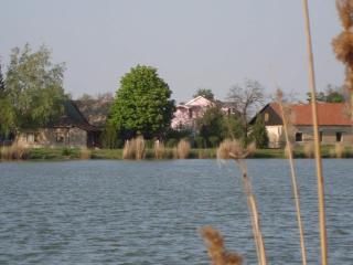 Vila Madams - Palić-Serbia - Palić - 0