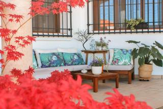 Insula Barataria - 8