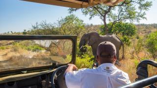 Shishangeni Lodge, Kruger National Park - Komatipoort - 2