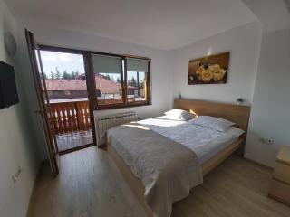 Studio Montana - Poiana Brasov - 7