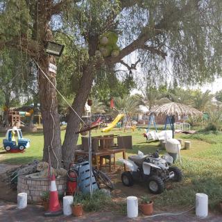 Al Maha Farm - Al Ḩamīdīyah - 2