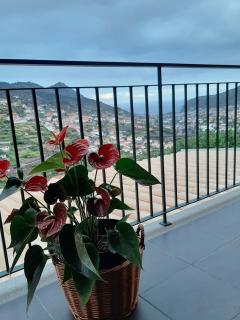 Casa Miguel - Machico - 7