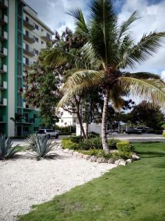 Maggy's House - La Romana - 0