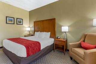 Comfort Inn - Waynesboro - 2