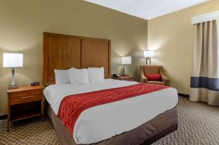 Comfort Inn - Waynesboro - 3