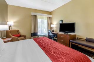Comfort Inn - Waynesboro - 1