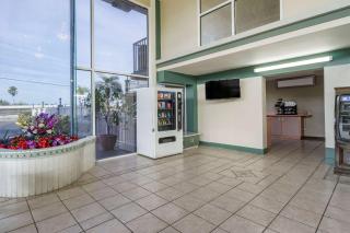 Rodeway Inn Clearwater-Largo - Clearwater - 7