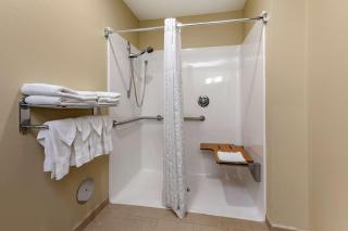 Comfort Suites - Marquette - 3