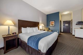 Comfort Inn & Suites Oklahoma City West - I-40 - Oklahoma City - 4