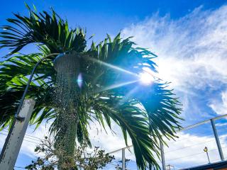 Dot Cottage Imgya Terrace 88rezo - 2