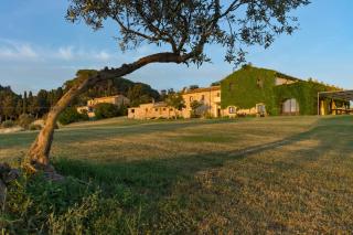 La Marrana - Castello del Terriccio - Castellina Marittima - 0