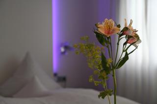 Hotel am Main - 9