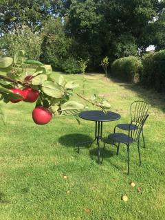 Rosebank B&B - Etchingham - 3