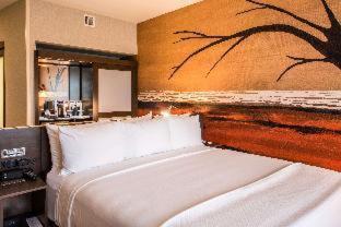 Cambria Hotel McAllen Convention Center - McAllen - 8