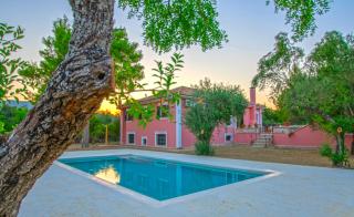 Doliva Estate - Laganas - 1