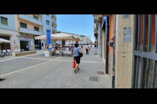 Oasi di Piazza Bilotti - Cosenza - 1