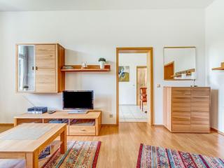Attractive villa with garden in Borstendorf - Leubsdorf - 1
