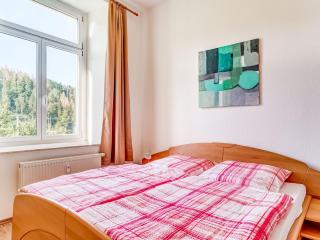 Attractive villa with garden in Borstendorf - Leubsdorf - 7