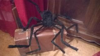Les Petits Sorciers - Aniane - 1