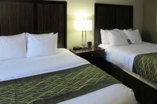 Comfort Inn Dallas Park Central - 7