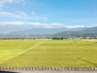 家夢果民宿 - 4