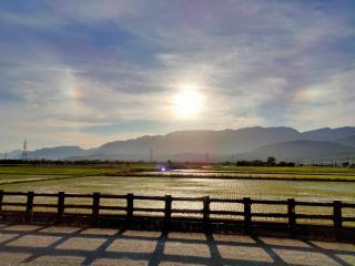 家夢果民宿 - 6