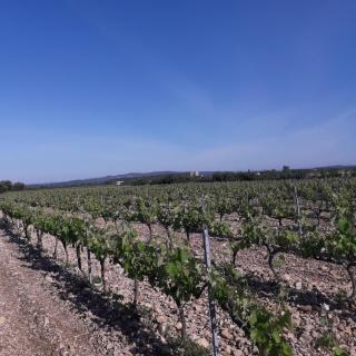 Vents d'Anges - 4