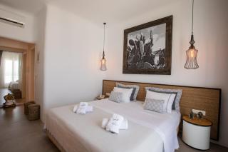 Harmony Boutique Hotel - Míconos - 1