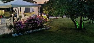 Guesthouse Kamelia - 4