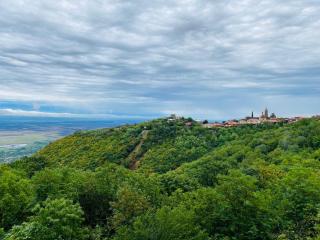 Villa Royal - Sighnaghi - 4