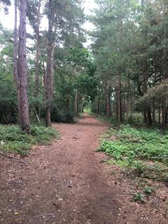 Little Banks Barn - Ringwood - 1