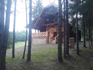 IN TARA KUCA ZA ODMOR - Jevtići - 9