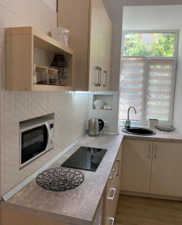 Siesta apartment on Stefanyka - Lviv - 7