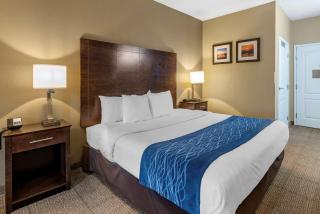 Comfort Inn & Suites Bryant - Benton - Bryant - 4