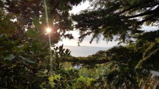 Nives - Starigrad - 6