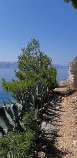 Nives - Starigrad - 7