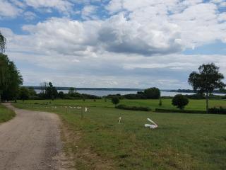 Ferienhaus Plau am See, direkt am Wasser - Plau am See - 5