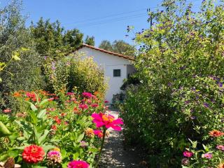 Pension Zoi - Kolimbia - 9