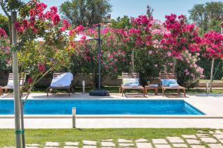 Villa Viviana Fažana Valbandon Heated pool - Fažana - 1
