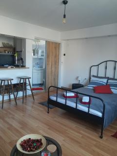Alexandar - Belgrado - 6